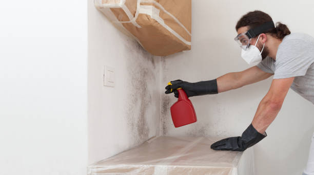 Professional Attic Mold Remediation technician working in Chesapeake, VA